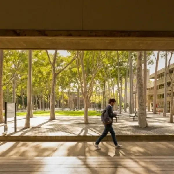 Hàng loạt sinh viên rút đơn xin visa du học Australia