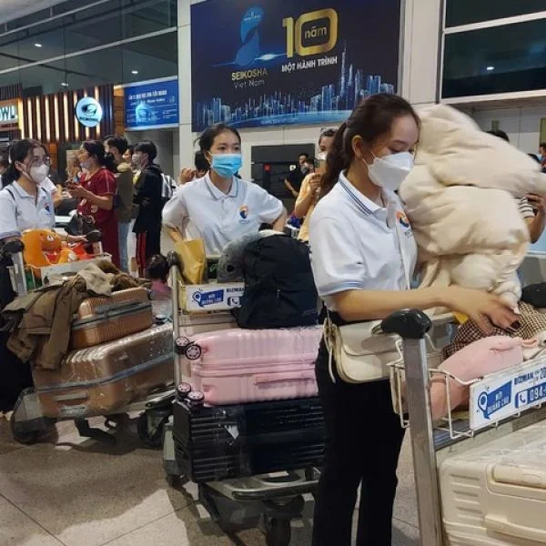 Từ ngày 1/7, người lao động đi làm việc ở nước ngoài cũng được hưởng lương hưu?
