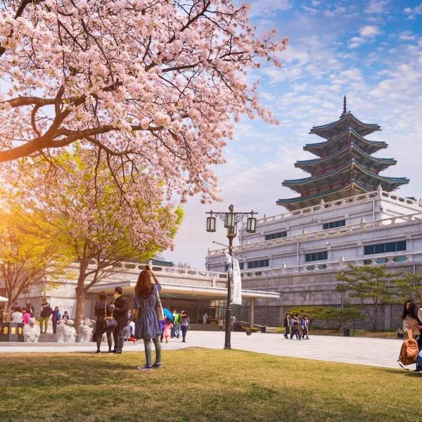 Điều kiện du học Hàn Quốc 2025 & chi phí, học bổng, visa, chọn trường đại học